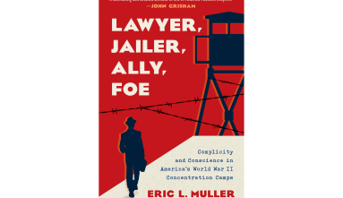 lawyer jailer ally foe-book by eric l muller